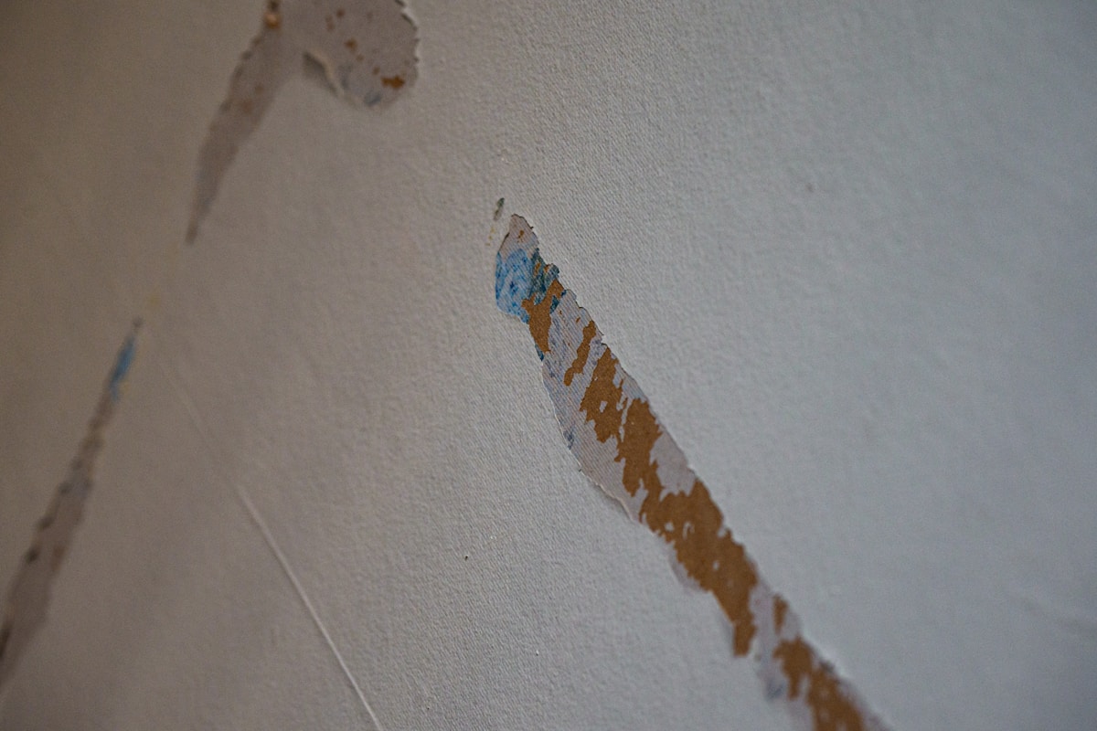 Commercial Water Damage service in Conway, AR